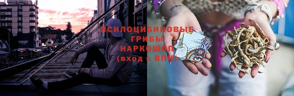индика Приозерск